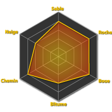 Performances du pneumatique