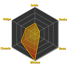 Performances du pneumatique