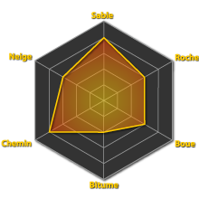 Performances du pneumatique