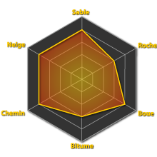 Performances du pneumatique