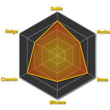 Performances du pneumatique